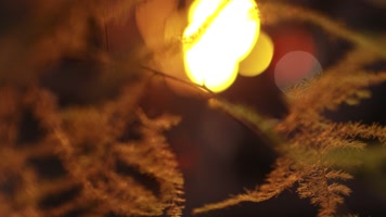 唯美夜色小合集