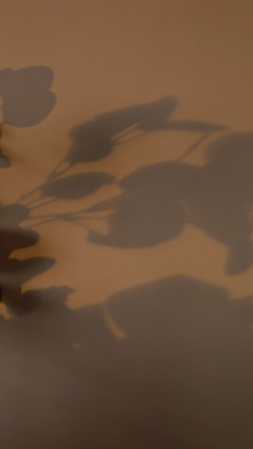 孤独的光影时间流逝竖屏 孤独的光影时间流逝竖屏