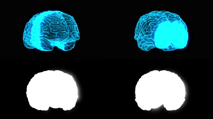 3D 人脑扫描和 360 度旋转 无限循