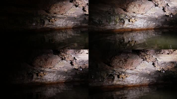 hl1地质考察-龙岩洞溶洞10