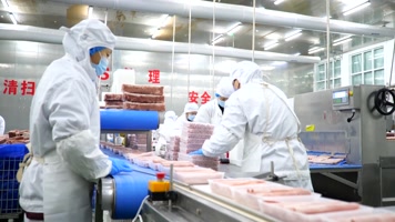 河北吴桥：食物企业新年订单赶制忙