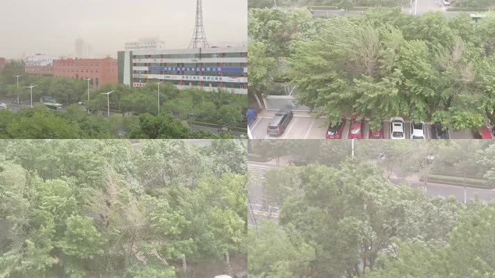 沙尘暴大风雾霾大树晃动