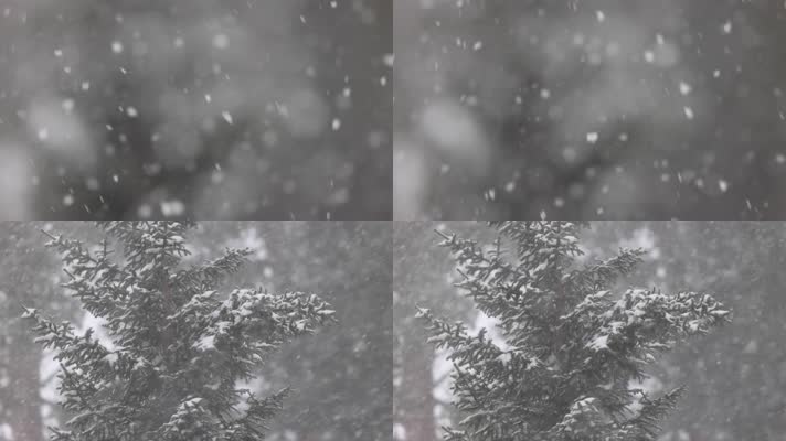 冬季森林雪花唯美慢镜头