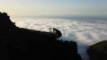 山顶日出森林云雾云海唯美航拍 山顶日出森林云雾云海唯美航拍