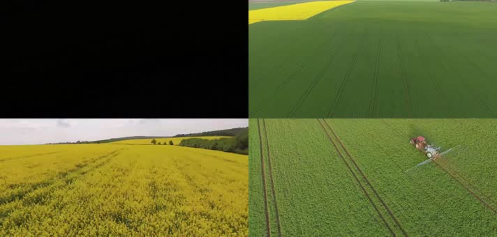 广袤麦田农业收割机现代化农业发展实拍视频