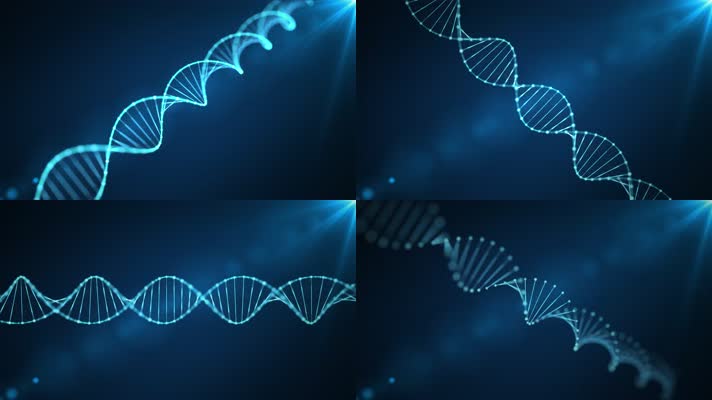 DNA螺旋结构特效