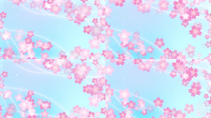 花朵樱花旋转循环舞台背景