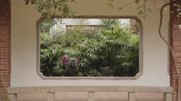 苏州园林屋檐走廊院墙中式建筑意境唯美