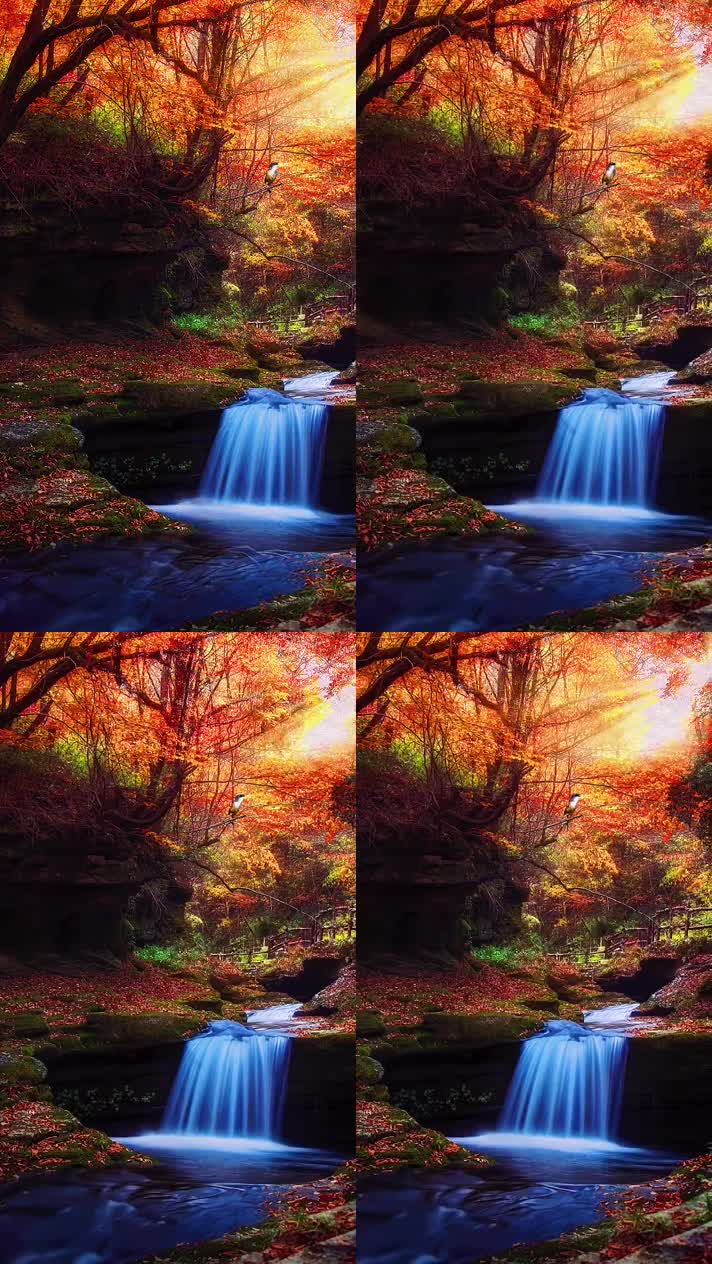 竖版手机视频自然风景 (206)手机竖版自然风景山洞乡村美景