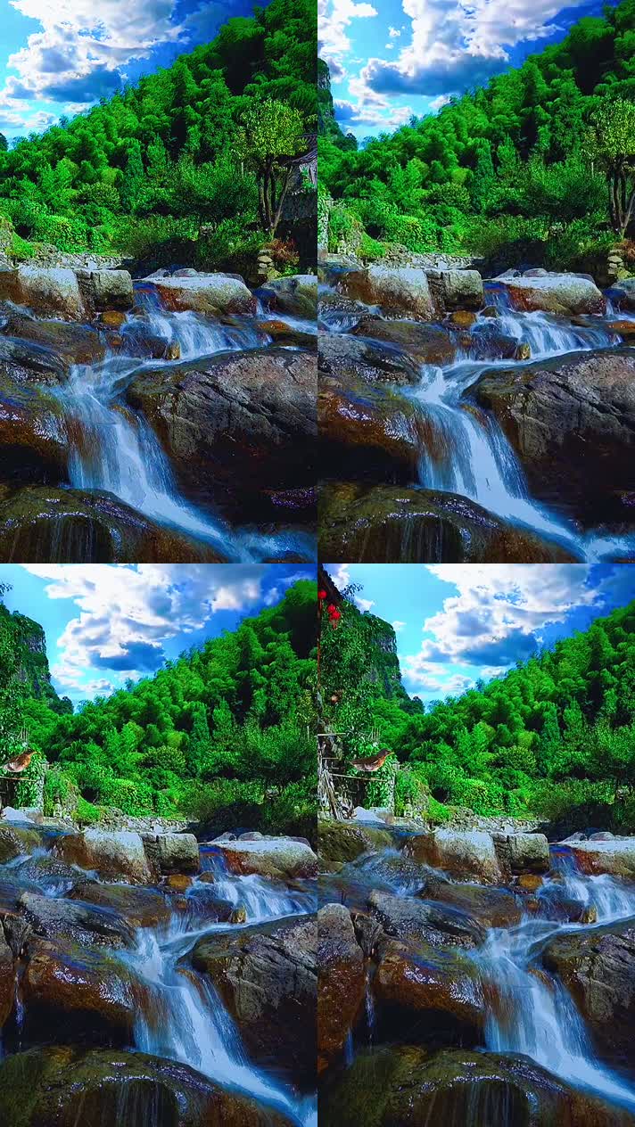 竖版手机视频自然风景 (237)手机竖版自然风景山洞乡村美景