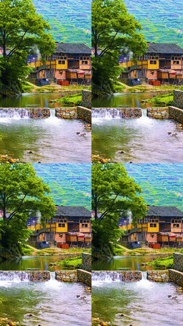 竖版手机视频自然风景 (247)手机竖版自然风景山洞乡村美景