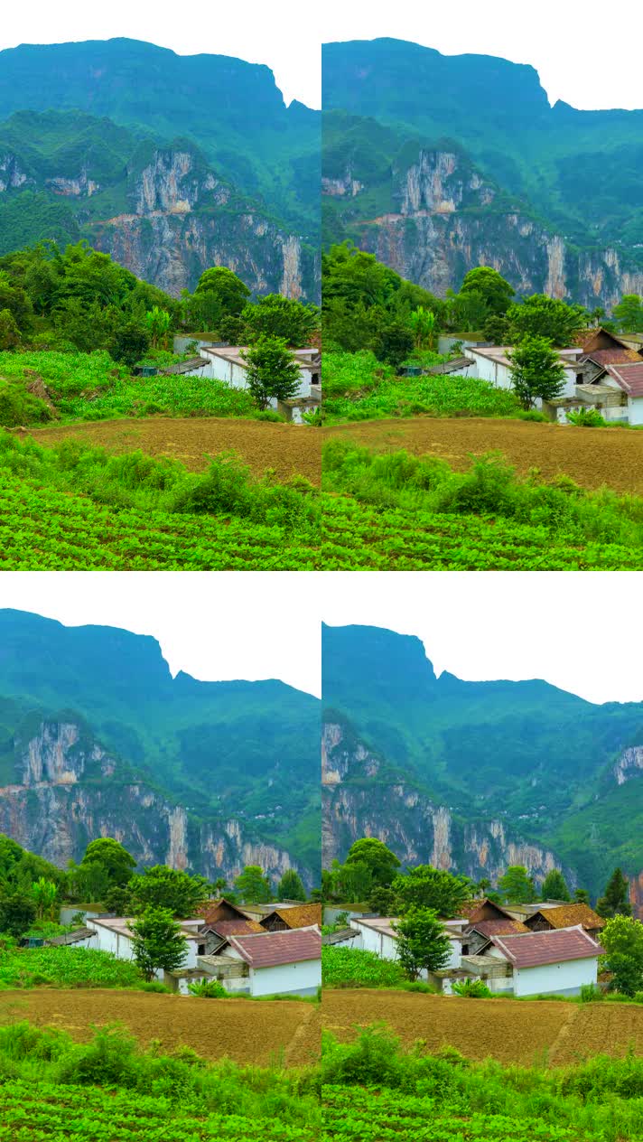 手机竖版自然风景山水乡村美景  (254手机竖版自然风景山水乡村美景