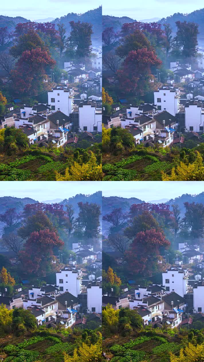 竖版手机视频自然风景 (146)手机竖版自然风景山洞乡村美景