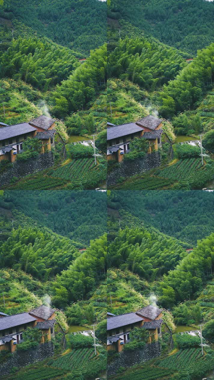 竖版手机视频自然风景 (214)手机竖版自然风景山洞乡村美景