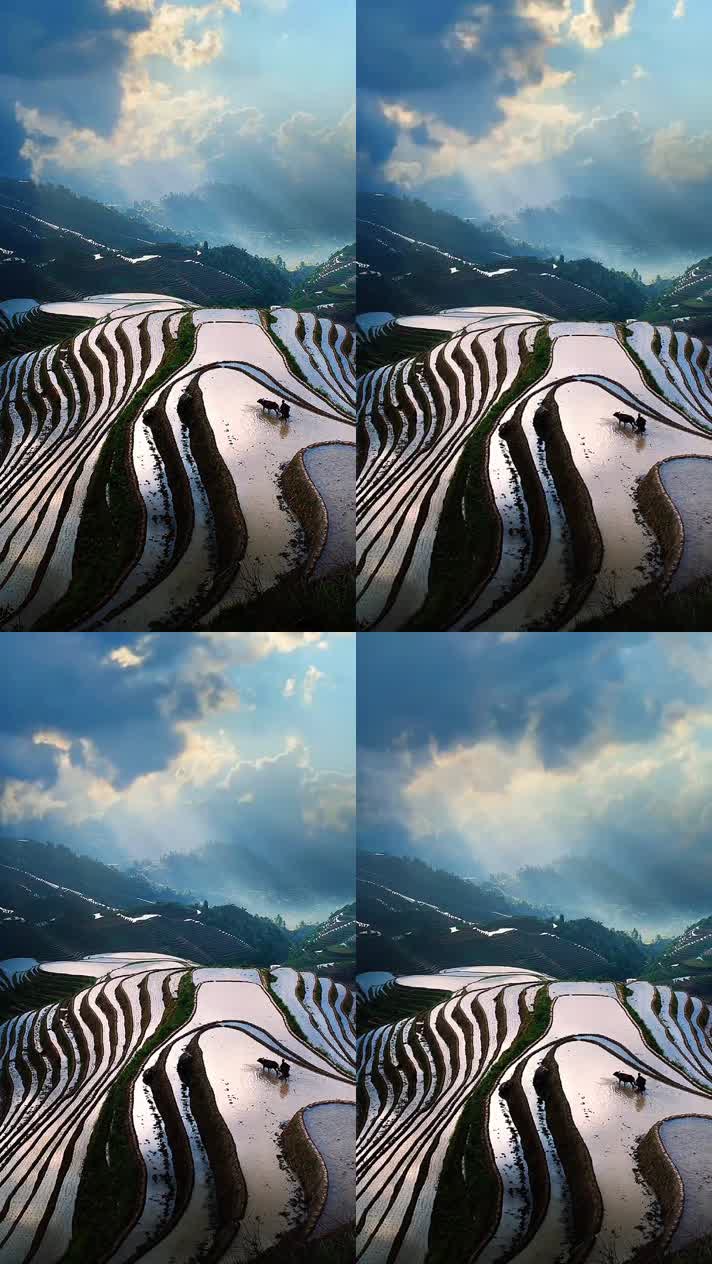 手机竖版自然风景山水乡村美景  (270手机竖版自然风景山水乡村美景