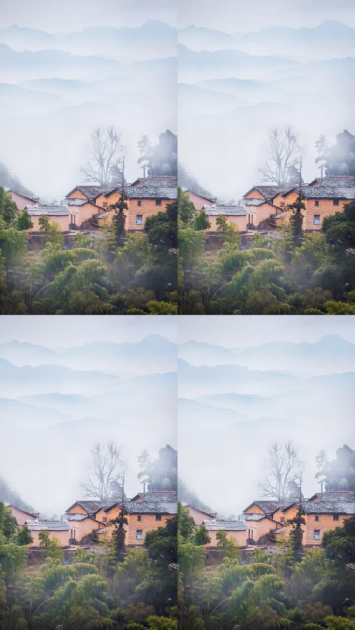 竖版手机视频自然风景 (191)手机竖版自然风景山洞乡村美景