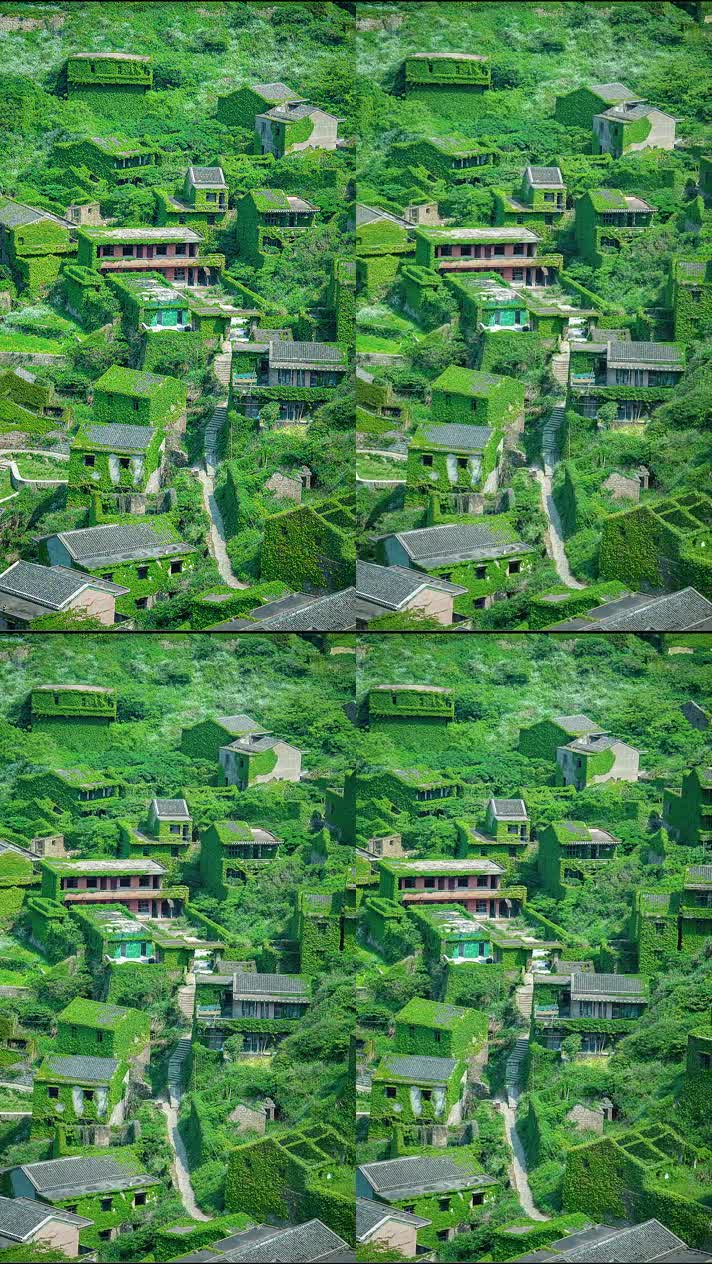 手机竖版自然风景山水乡村美景  (376手机竖版自然风景山水乡村美景
