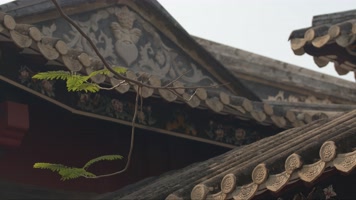 中式园林屋檐房檐院落古风围墙古建筑清晖园 中式园林屋檐房檐院落古风围墙古建筑清晖园