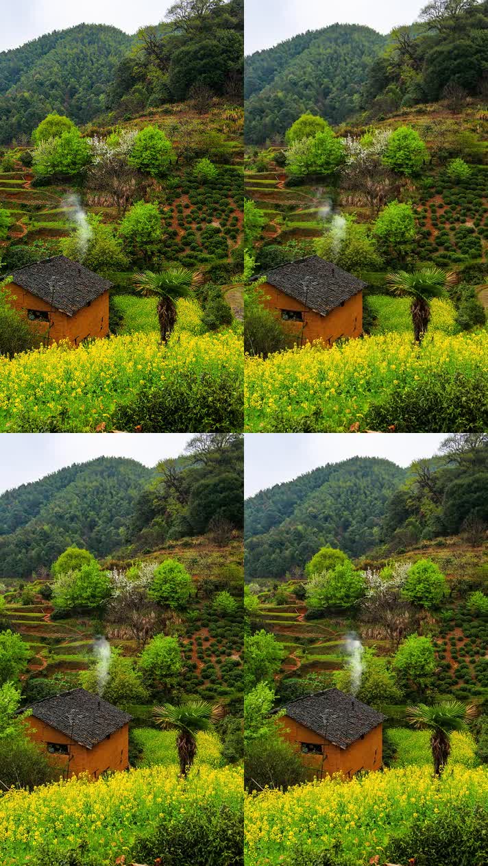 竖版手机视频自然风景 (242)手机竖版自然风景山洞乡村美景