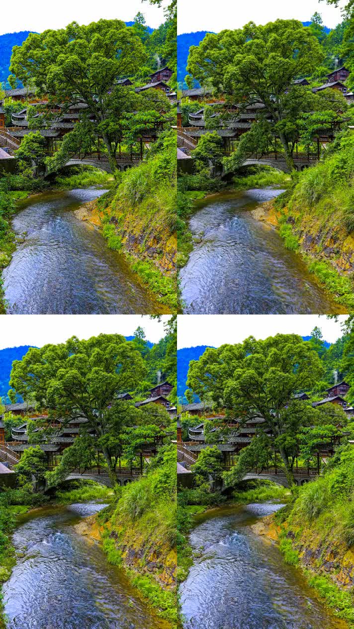 竖版手机视频自然风景 (249)手机竖版自然风景山洞乡村美景