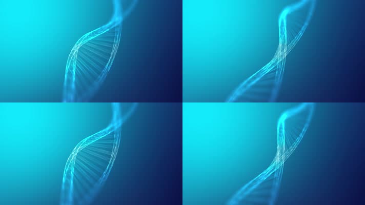 Dna基因组旋转无缝循环 生物遗传医学科