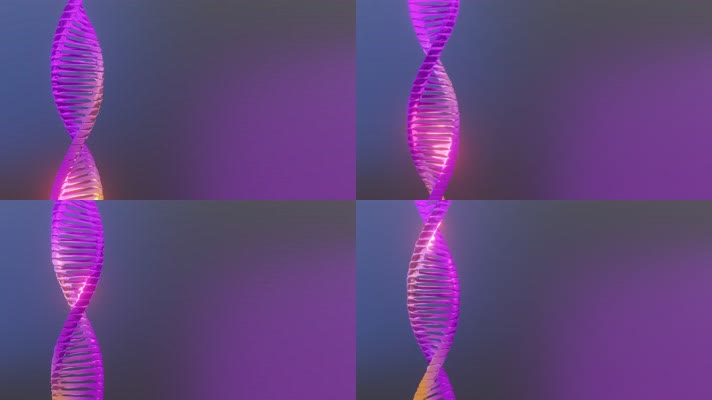 3D 渲染DNA科学医学动画4K