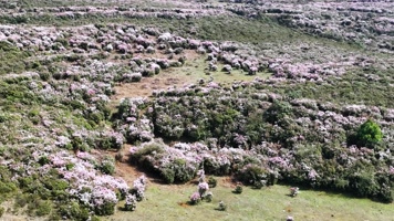 4K航拍乌蒙大草原