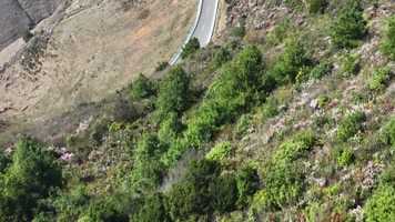 航拍神奇美丽的乌蒙大草原万亩杜鹃花