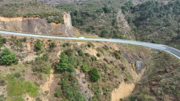 万亩杜鹃盛开的乌蒙大草原