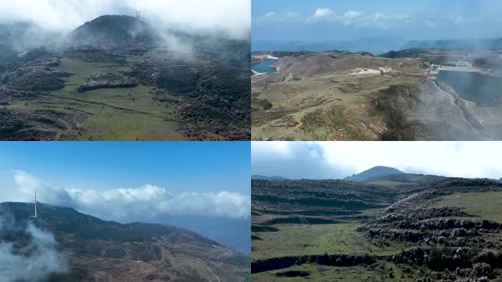 4K航拍乌蒙大草原花海