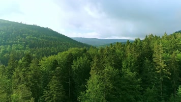 航拍森林山谷蜿蜒的山路