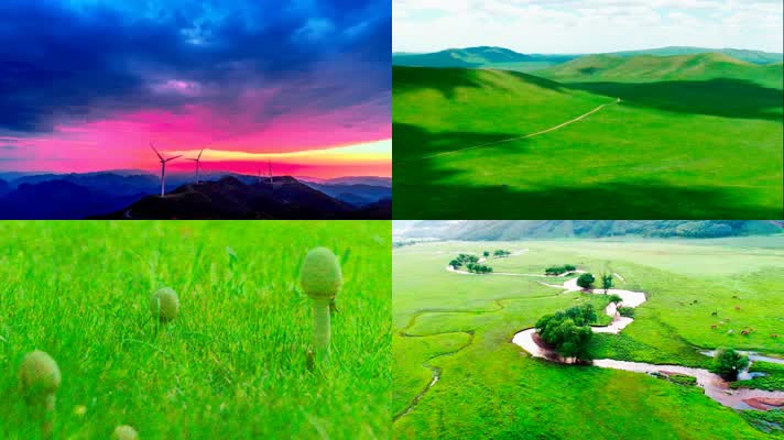 4K呼伦贝尔盟草原风光