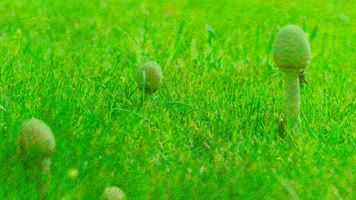 4K呼伦贝尔盟草原风光 4K呼伦贝尔盟草原风光