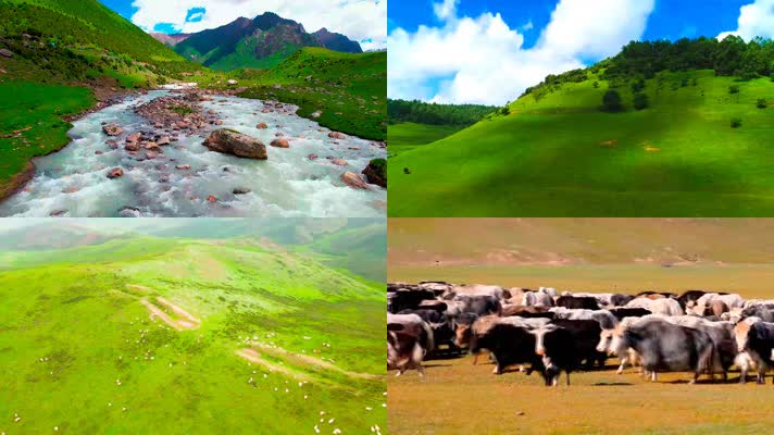 川西高山草原自然风光