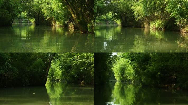 l1西溪河面湿地景观