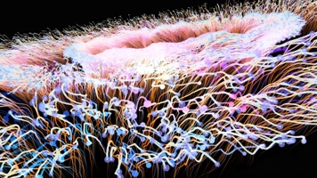 粒子花朵A大气唯美绚丽粒子led大屏幕视频素材大气唯美绚丽粒子led屏视频