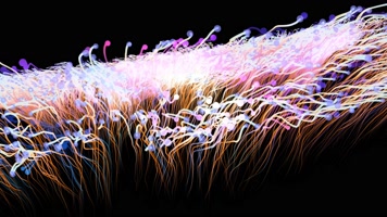 粒子花朵B大气唯美绚丽粒子led大屏幕视频素材大气唯美绚丽粒子led屏视频