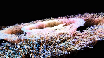 粒子花朵c大气唯美绚丽粒子led大屏幕视频素材大气唯美绚丽粒子led屏视频