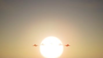 八一建军节解放军空军航空兵编队迎接日出