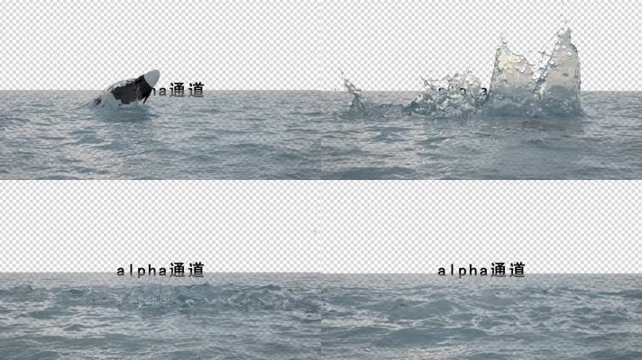 海豚戏水透明通道