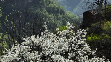 4K航拍河南新乡辉县郭亮村