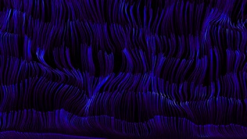 线条粒子上升 线条粒子上升