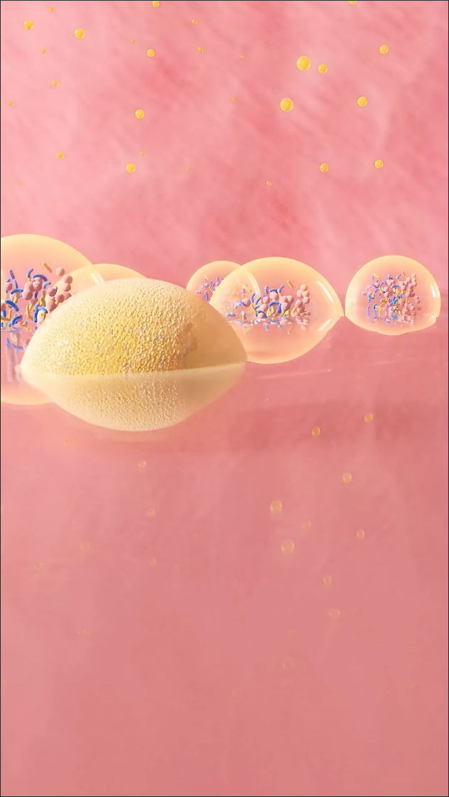 c4d 肠道益生菌消化分解完整三维动画