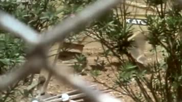 驻日美军基地战斗机轰炸机电子侦察机