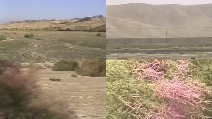 新疆伊犁霍尔果斯独库公路边境贸易