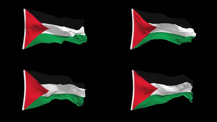 巴勒斯坦国旗Alpha Channel