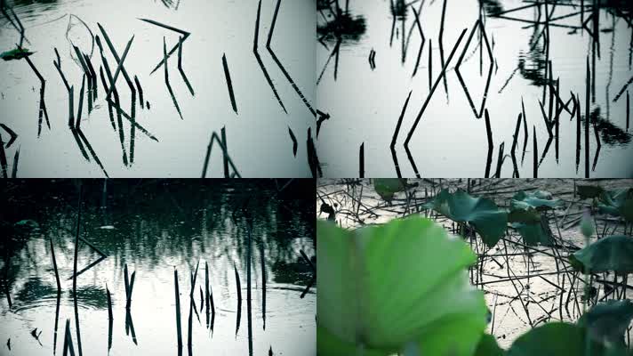 残荷荷塘 水墨意境