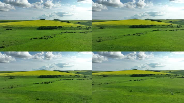 航怕丘陵山地农田油菜花田 