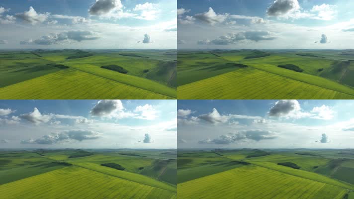 航怕丘陵山地农田油菜花田 