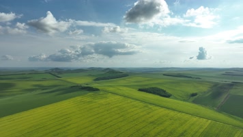 航怕丘陵山地农田油菜花田 
